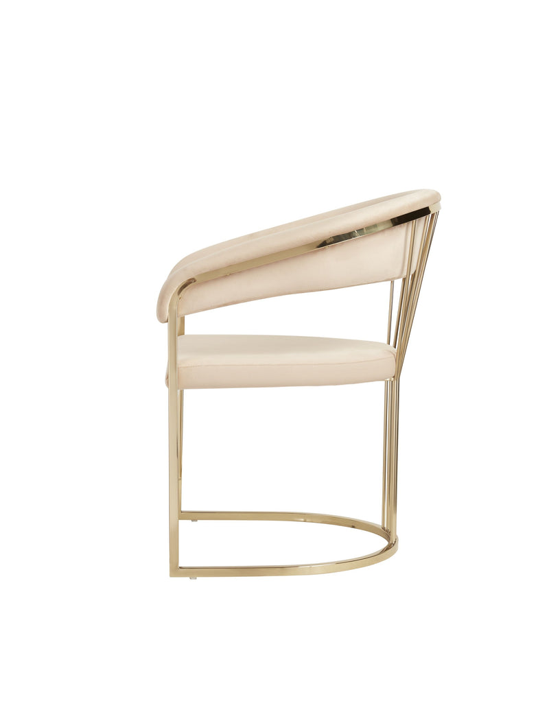 Adelpha Cream Velvet with Polished Gold Dining Chair (Small) - Luxury Living Collection