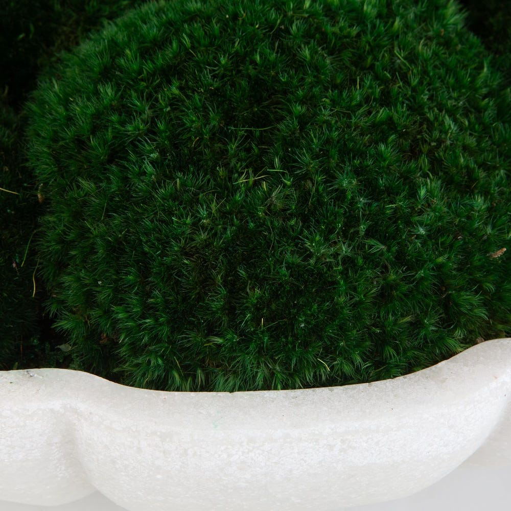 Garnet Moss Centerpiece in Ivory Stone Bowl