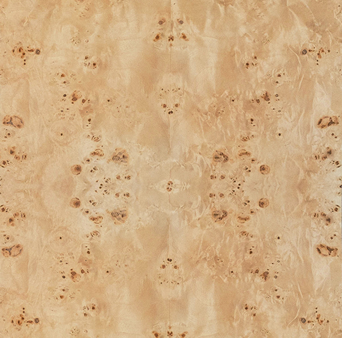 Ezra Natural Burl & White Linen Counter Stool