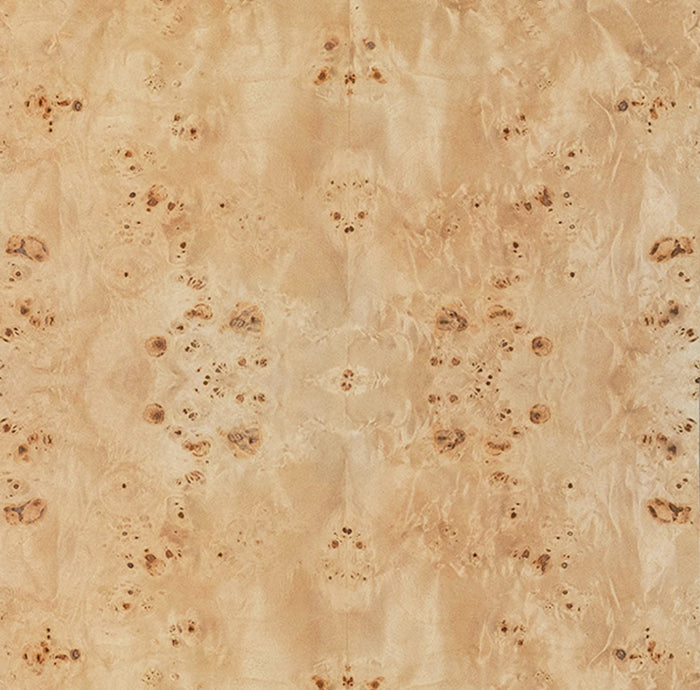 Ezra Natural Burl & White Linen Counter Stool