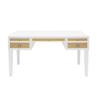 Bailah 56.5”Grasscloth Drawer White & Silver Desk