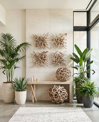 Branches 21” Bleached Wall Art