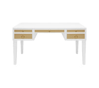 Bailah 56.5”Grasscloth Drawer White & Brass Desk