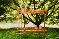 Georgiana Dark Burl Wood & Brass Bar Cart