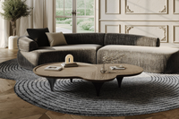 Tisha 63.8” Modern Free Form Dark Ash Coffee Table