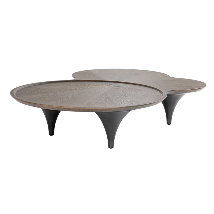 Tisha 63.8” Modern Free Form Dark Ash Coffee Table
