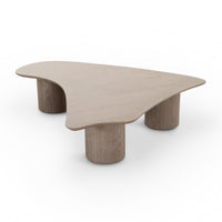 Ellie 55” Washed Ash Organic Coffee Table