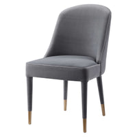 Alexa Grey Velvet Chair (Set of 2)