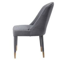 Alexa Grey Velvet Chair (Set of 2)