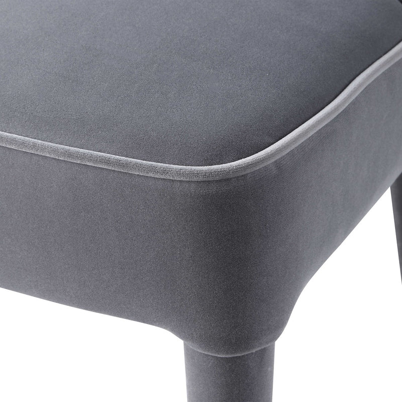Alexa Grey Velvet Chair (Set of 2)