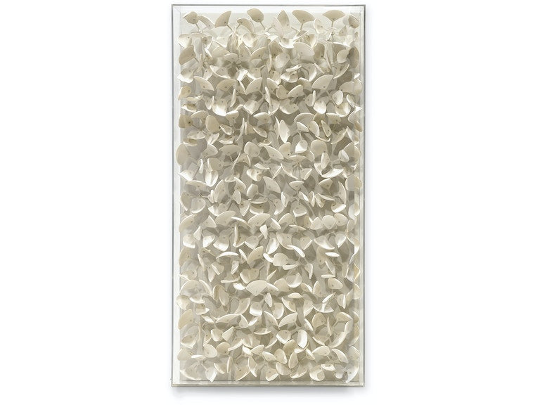 Adrift Coco Wall Decor - Small