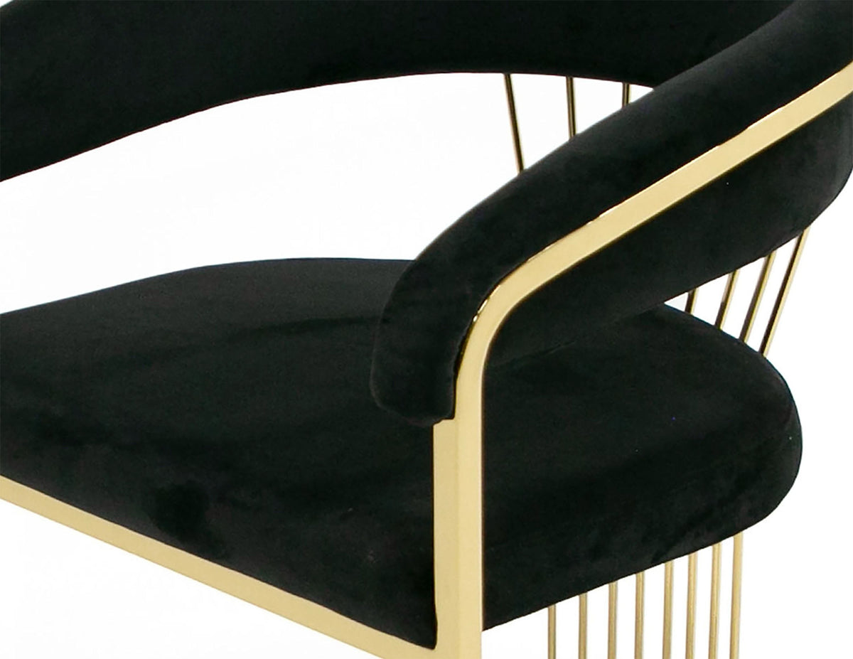 Adelpha Smaller Black Velvet with Polished Gold Dining Chair - Luxury Living Collection