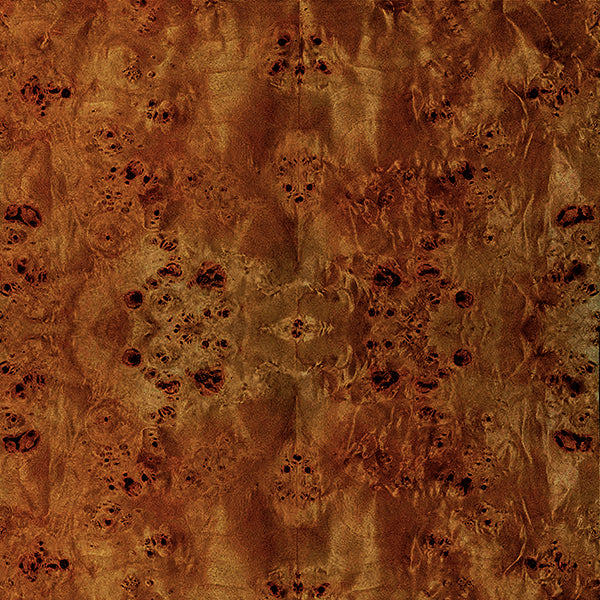 Florencia Dark Burl Wood & Performance White Linen Chair