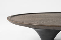 Tisha Modern Free Form Dark Ash Coffee Table
