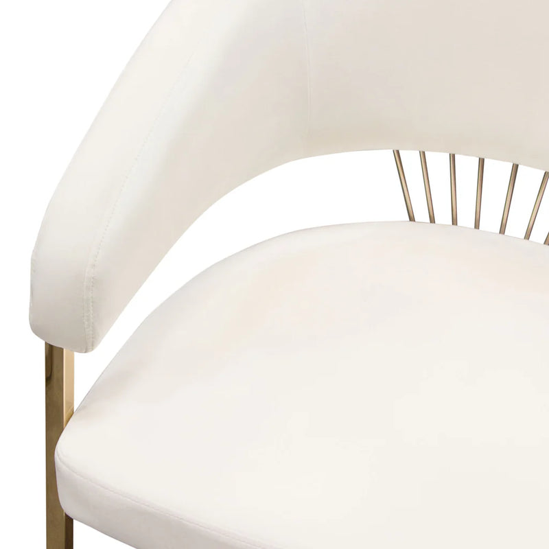 Adelpha Cream Velvet with Polished Gold Dining Chair