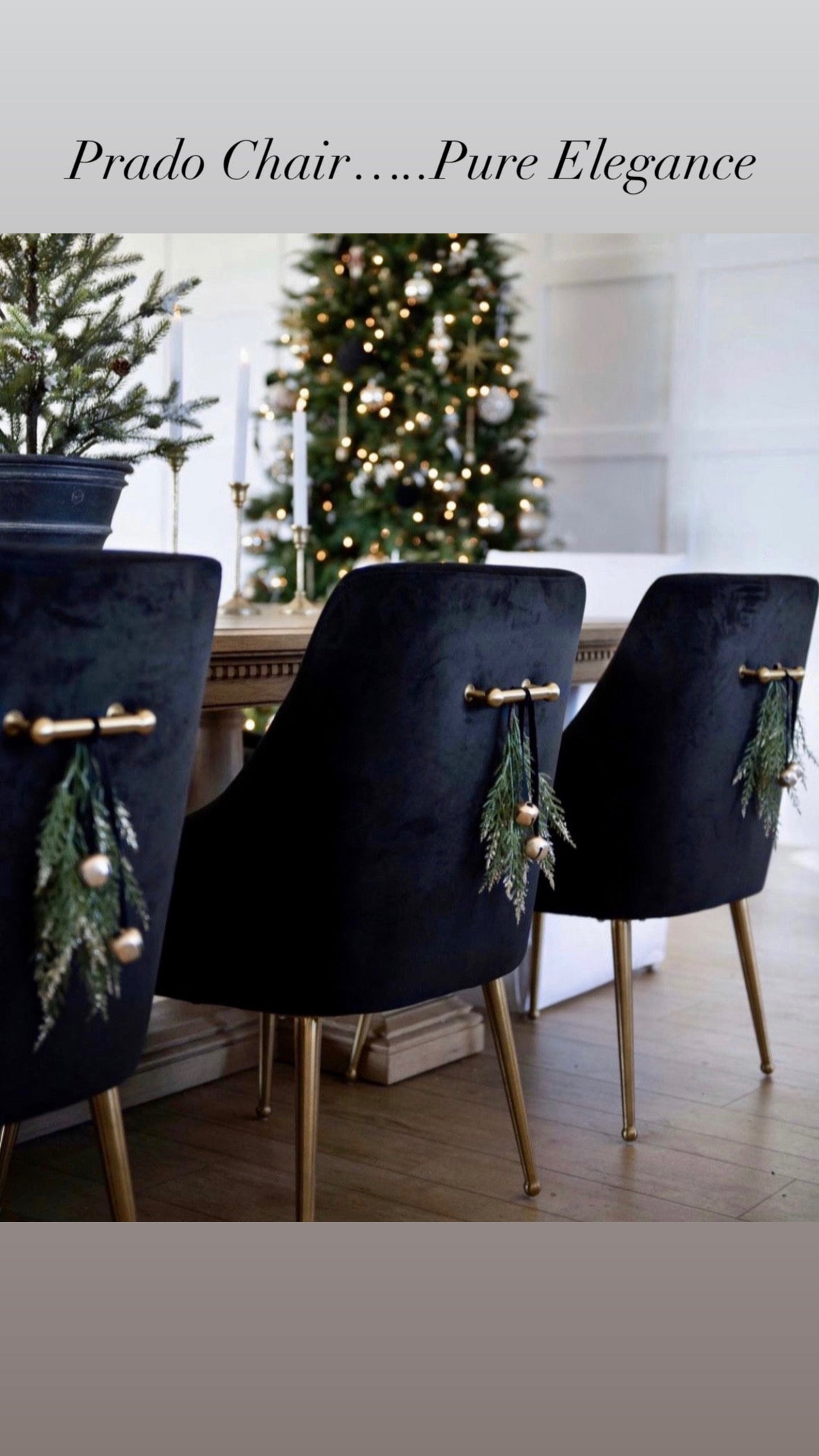 Prado Black Velvet With Gold Frame Chair - PROMOTION