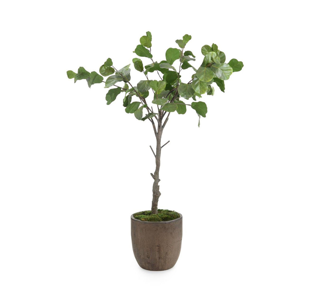 Letitia Fiddle-Leaf Fig I -Bronze Pot - Luxury Living Collection