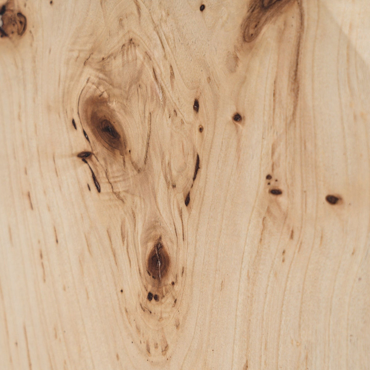 Kota Modern Mapa Burl Round End Table