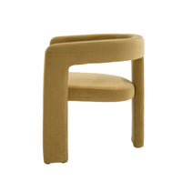 Ferah Modern Tan Fabric Dining Chair