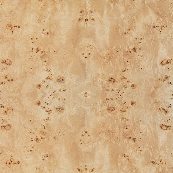 Ezra White Linen/Gold & Burl Wood Chair