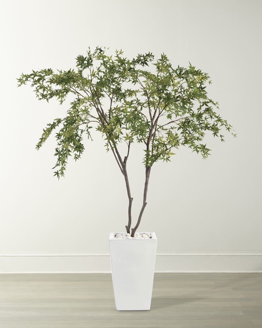 Qiana White Maples in Pot - Luxury Living Collection