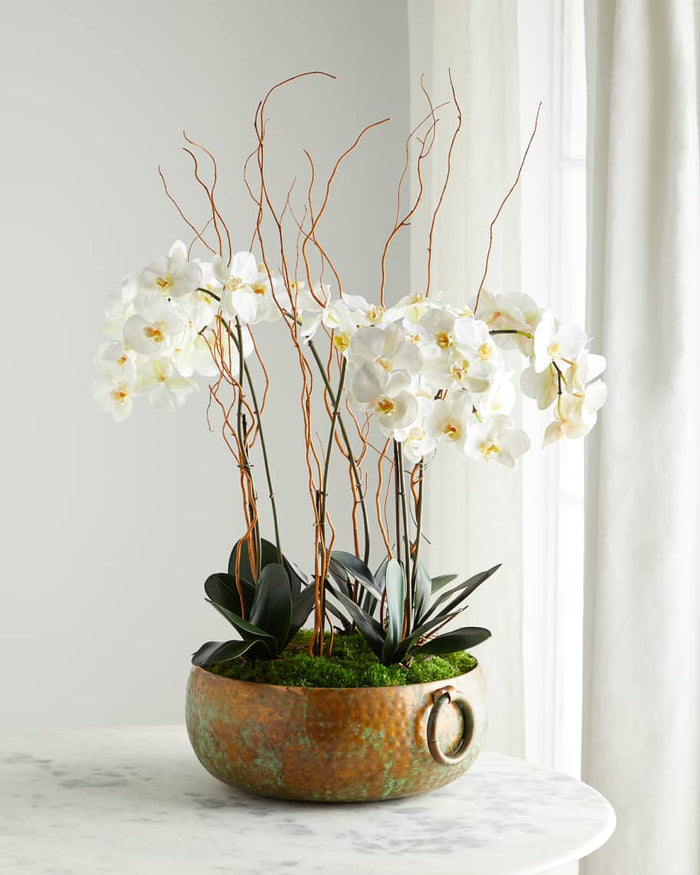 Cece Tuscan Phalaenopsis in Bowl - Luxury Living Collection