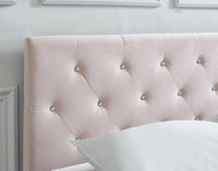 Ainsley Blush Pink Velvet Platform Bed