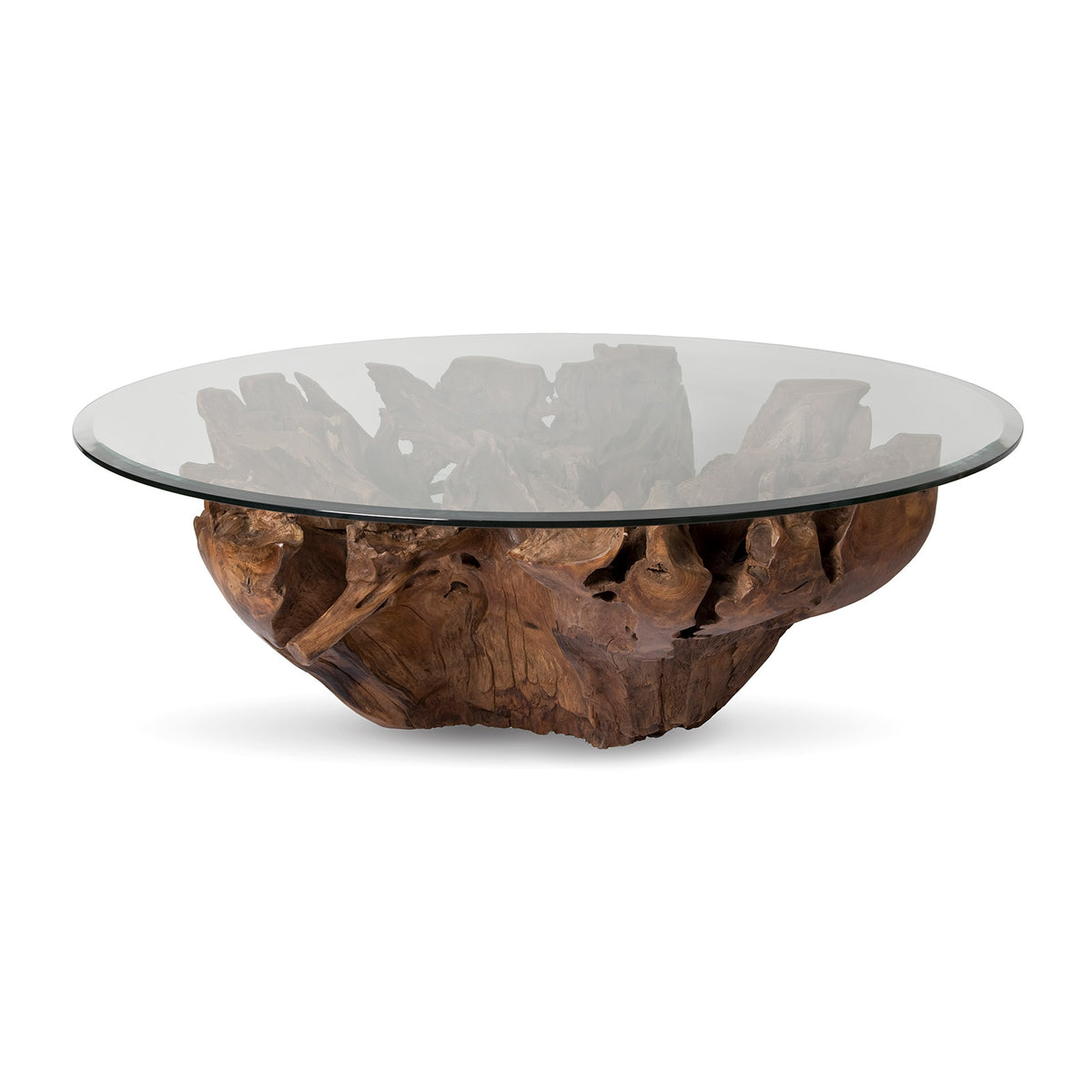 Large Natural Teak Root Coffee Table