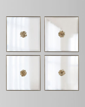 Arielle Constellation Mirrors (Set of Four) - Luxury Living Collection