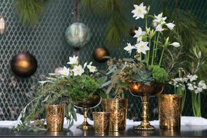 Cara Exclusive Compote Vase Collection