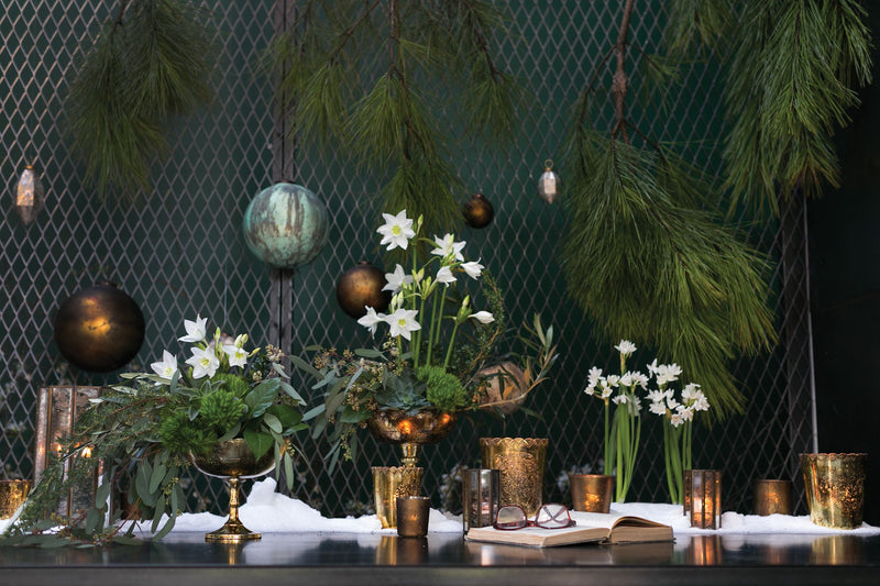 Cara Exclusive Compote Vase Collection