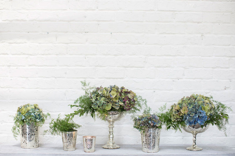 Cara Exclusive Compote Vase Collection
