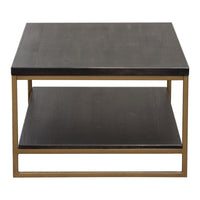 Lyra Dark Brown with Hand Brushed Gold Rectangular Cocktail Table - Luxury Living Collection