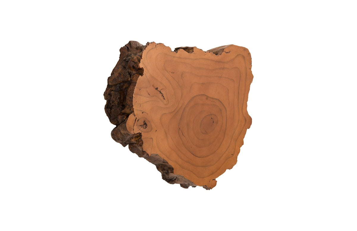 Faux Bois Wood Root Wall Sculpture