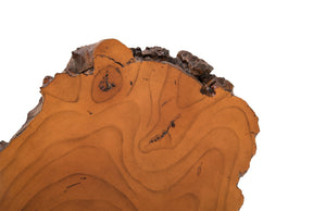 Faux Bois Wood Root Wall Sculpture