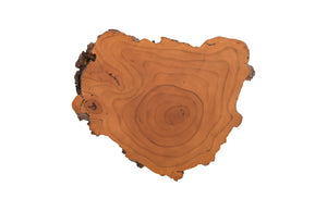 Faux Bois Wood Root Wall Sculpture