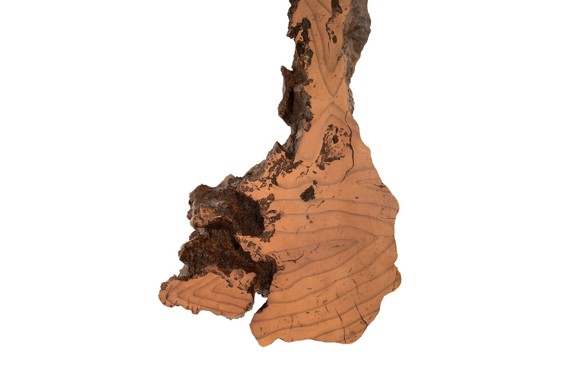 Faux Bois Wood Root Wall Sculpture