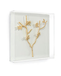 Zhuri Gold Branches Shadow Boxes (Set of Four) - Luxury Living Collection