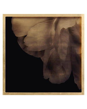 Fern Prints I- Luxury Living Collection