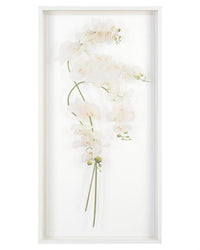 Franze Study of Orchids Shadow Box - Luxury Living Collection