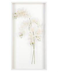 Franze Study of Orchids Shadow Box - Luxury Living Collection