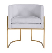 Jules Grey Velvet With Gold Frame Chair - Luxury Living Collection