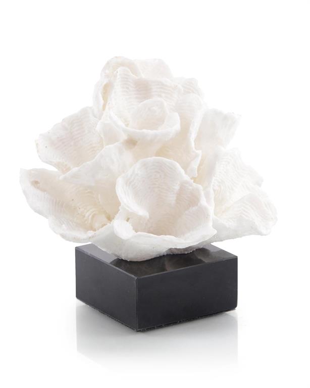 Adaline Foliose Coral on Black Marble Base - Luxury Living Collection