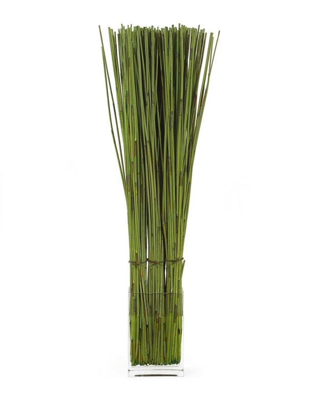 Ronja Elephant Reed in Vase - Luxury Living Collection