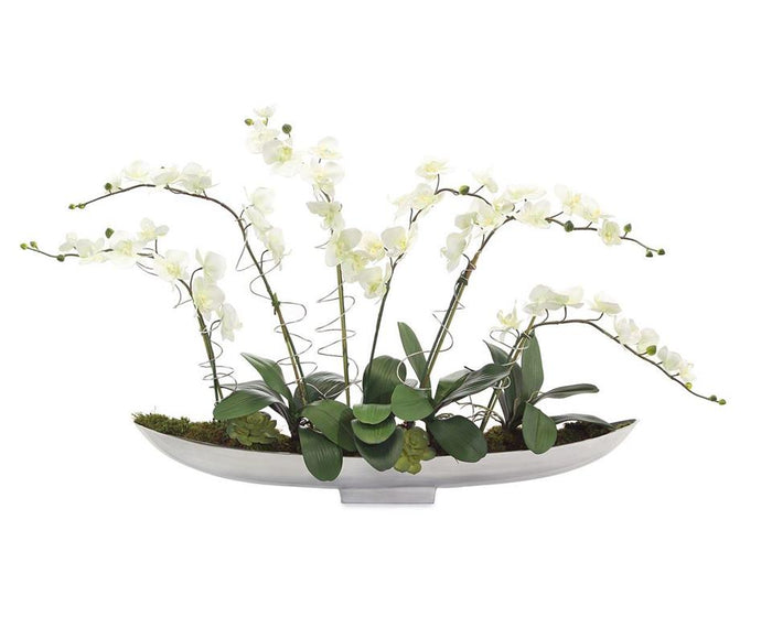 Niko Silver Phals in Vase - Luxury Living Collection