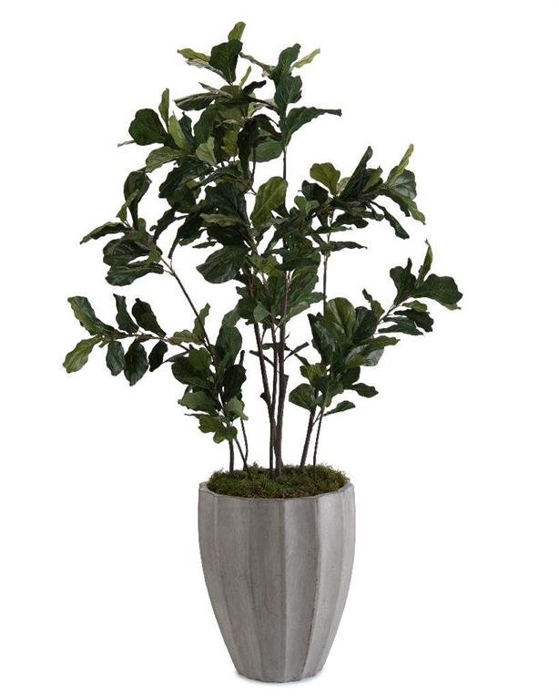 Letitia Fiddle-Leaf Fig Tree I in Planter - Luxury Living Collection