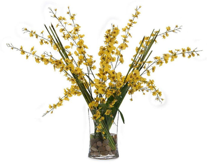 Anitra Golden Oncidiums in Container - Luxury Living Collection
