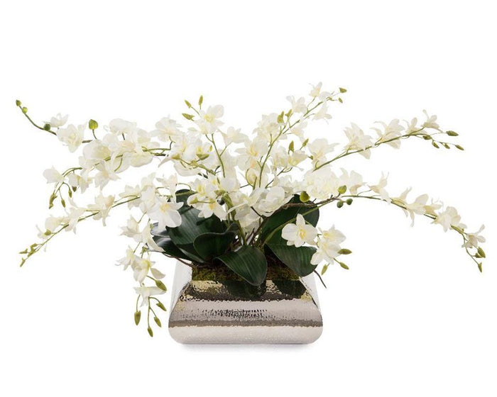 Dallis Dendrobium Reflections in Urn - Luxury Living Collection