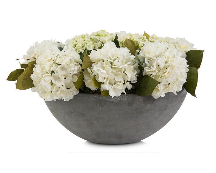 Grania White Hydrangeas in Pot - Luxury Living Collection