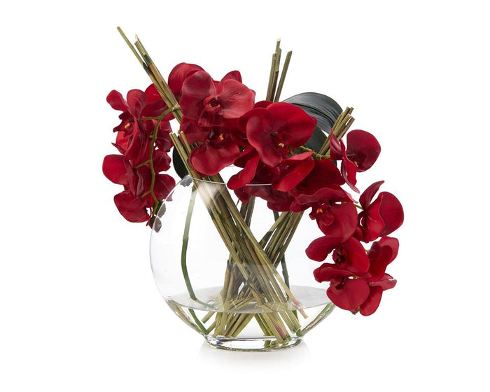 Isaura Asian Red in Vase - Luxury Living Collection